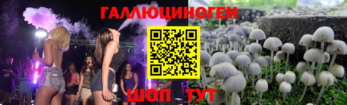 Сертолово  Галлюциногенные грибы прущие грибы  Вход с VPN 