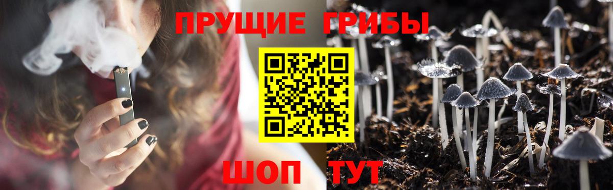 Галлюциногенные грибы MAGIC MUSHROOMS Сертолово